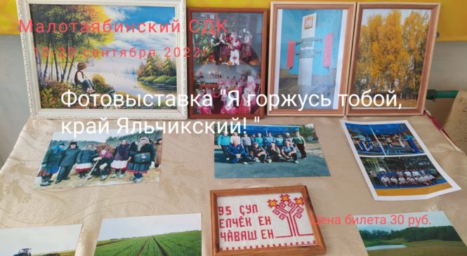 Фотовыставка «Я горжусь тобой, край Яльчикский!»
